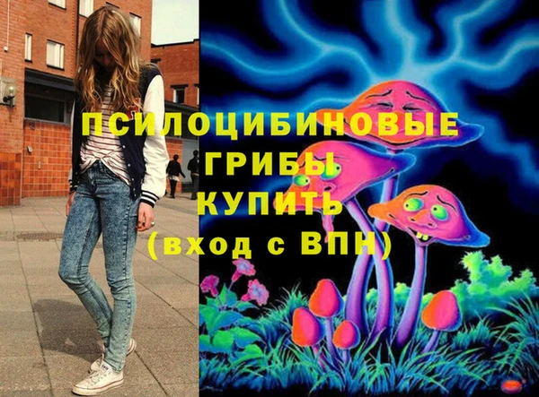 индика Наволоки