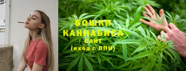 шишки Осташков
